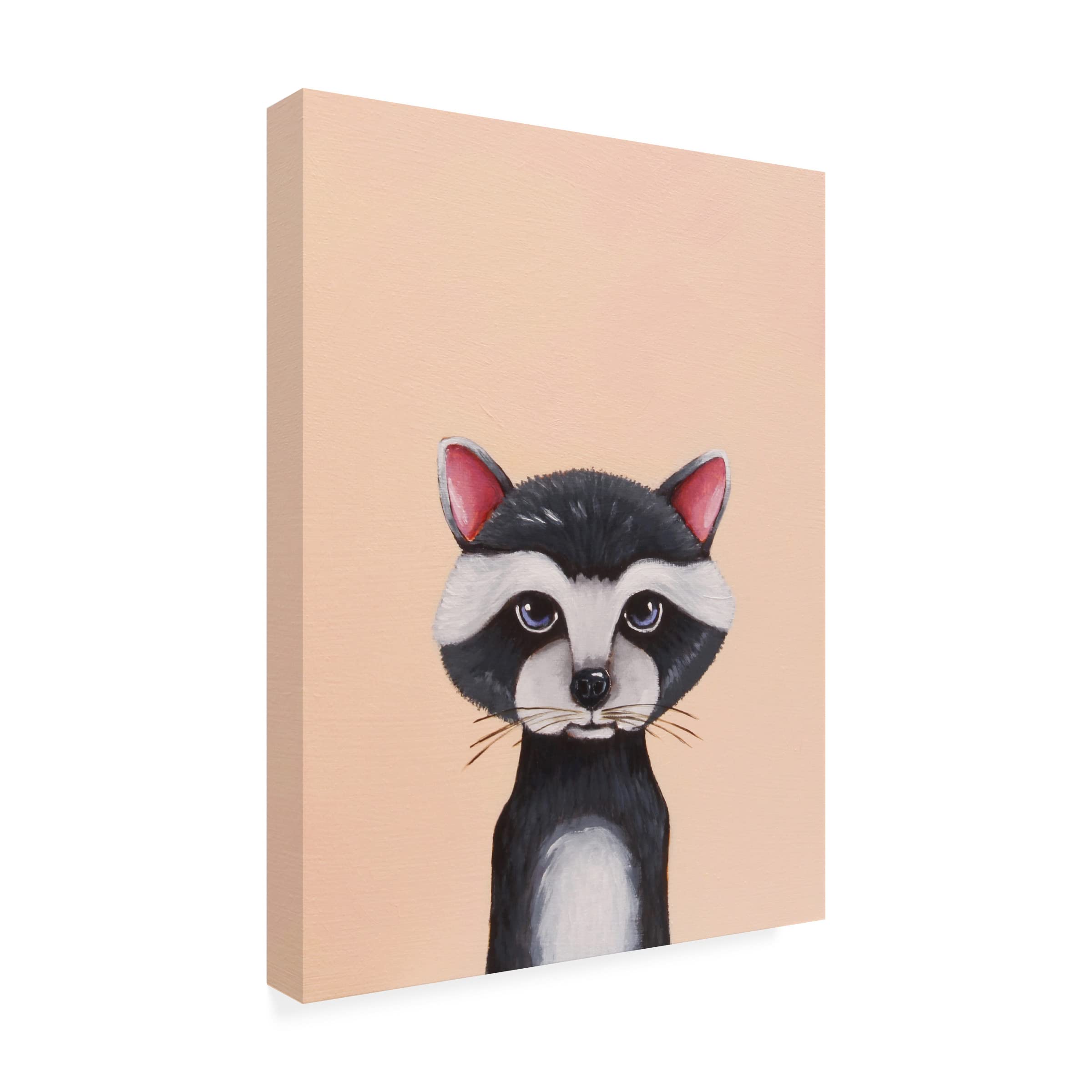 Trademark Fine Art 'Baby Raccoon' Canvas Wall Art by Lucia Stewart - Cute Nursery Decor, Living Room Painting, Animal Wildlife Home Decoration