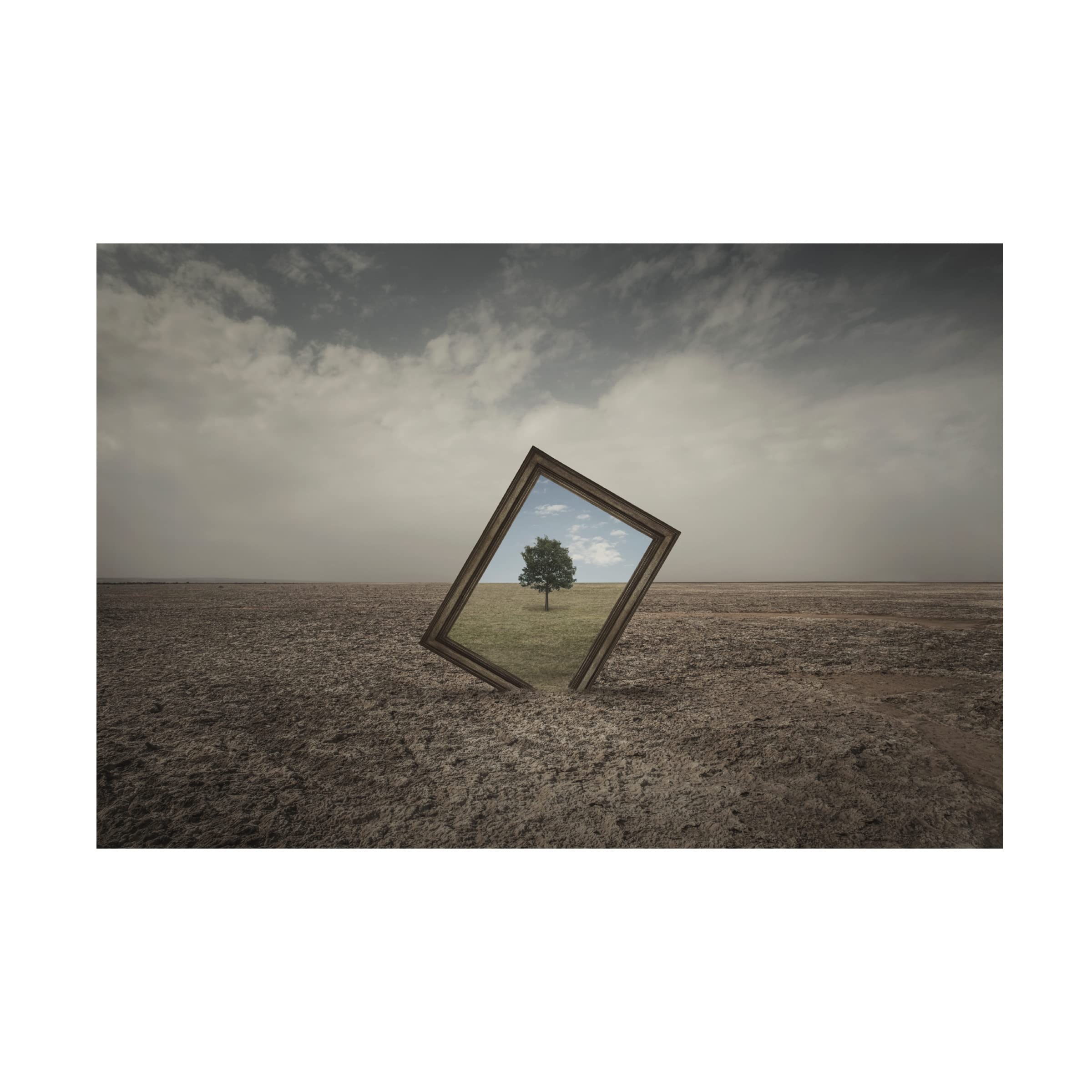 Trademark Fine Art 'Future Of Nature' Canvas Wall Art by Mohammad Rasool Fahmani - Modern Landscape Painting for Living Room, Bedroom & Office Decor