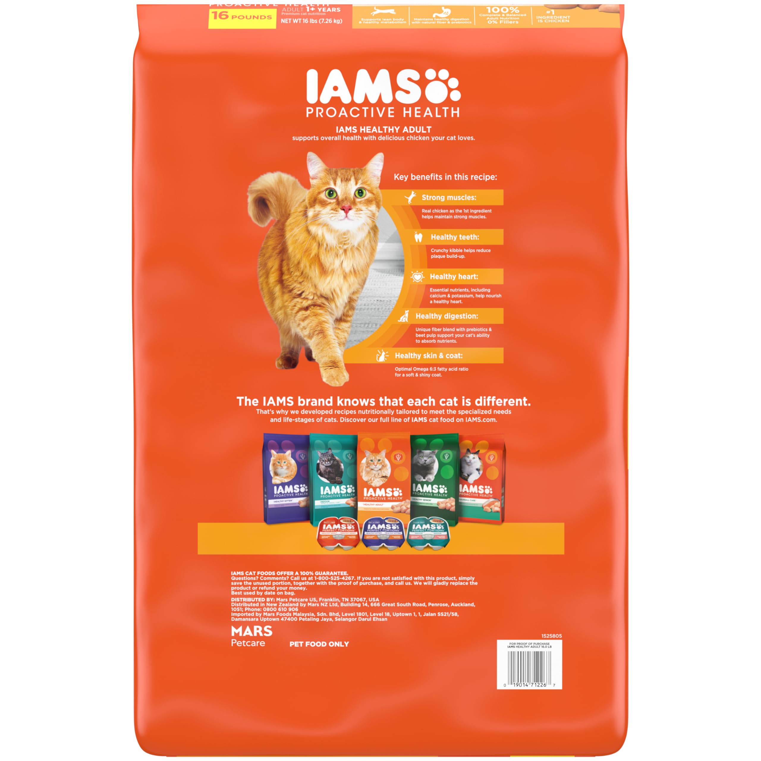 IAMS Proactive Health Healthy Adult Dry Cat Food with Chicken - 16 lb. Bag for Indoor & Outdoor Cats | High Protein Cat Kibble for Weight Maintenance & Digestive Health