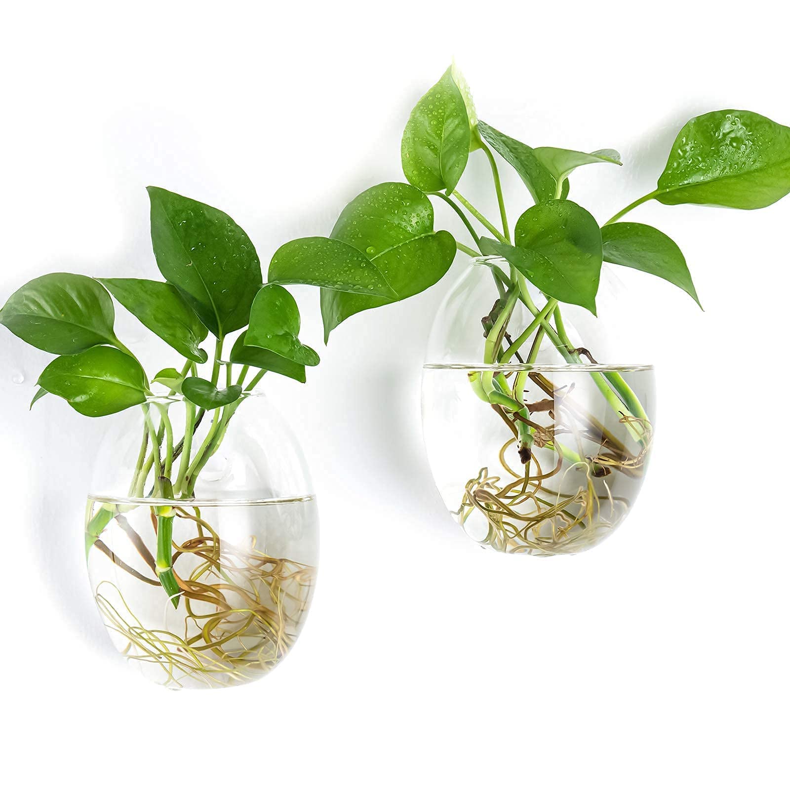Kingbuy Wall Mount Glass Planter - 2 Egg Shape Terrariums & 4 Square Vases for Hydroponic Plants, Succulents, Air Plants | Home Office Garden Decor, Indoor Plant Propagation Station, Modern Wall Hanging Display for Living Room, Kitchen, Balcony