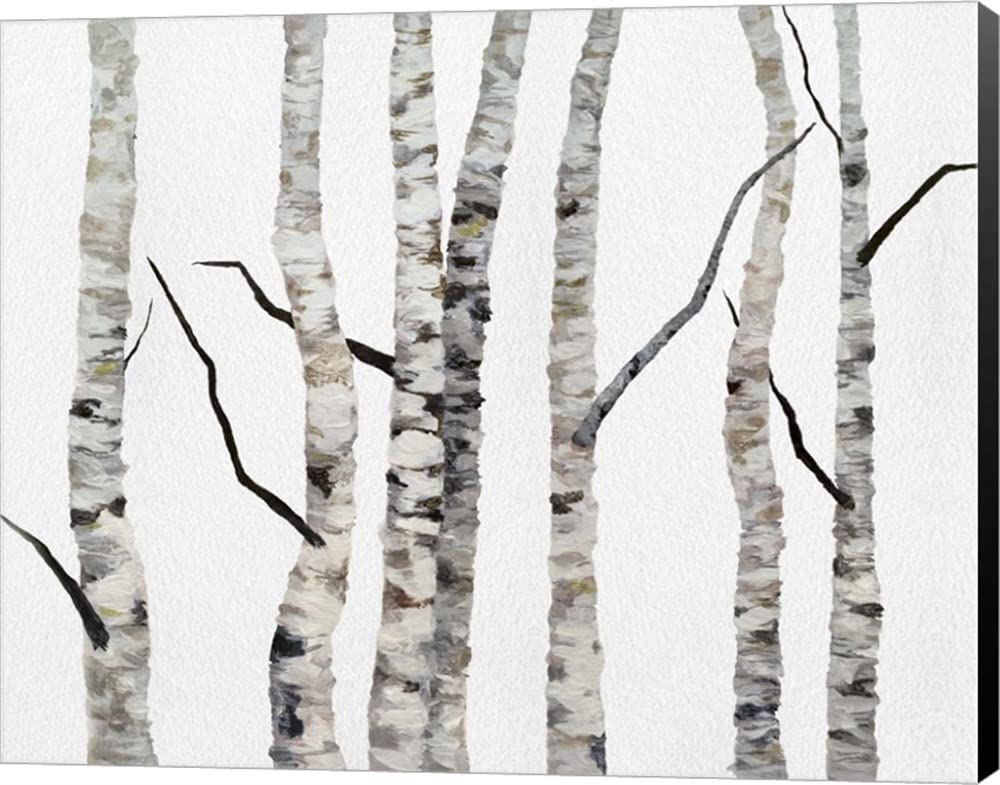 Birch Trees II by Sheila Finch - Premium Canvas Art Print, Museum Wrapped with Black Edges, 25x20 Inches - Perfect for Living Room, Bedroom & Office Decor