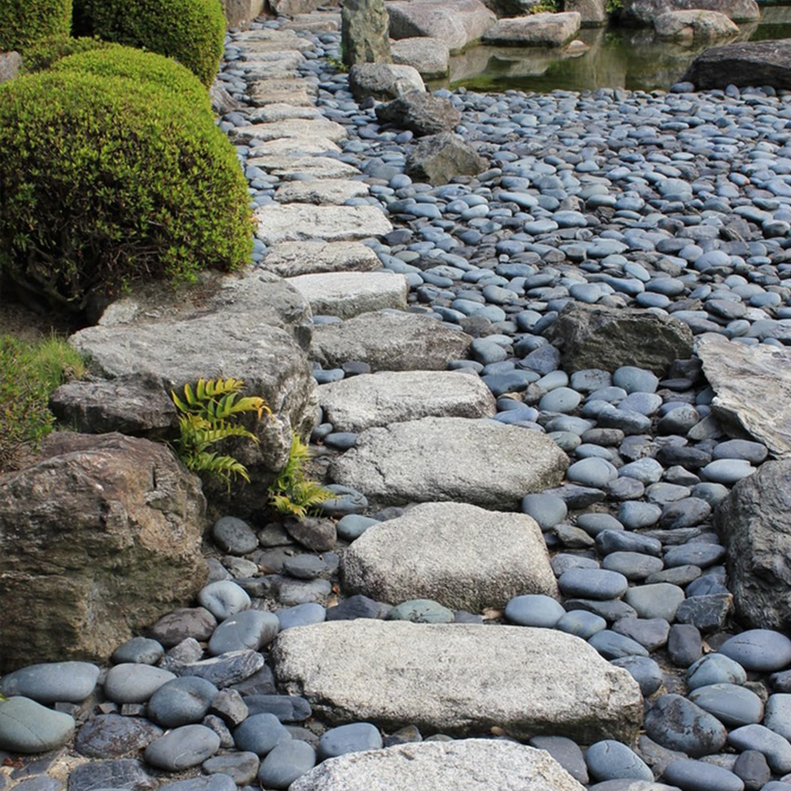 Natural Black River Rocks 2-3 Inch - Decorative Landscaping Stones for Garden Beds, Potted Plants, Fish Tanks & DIY Pathways - Bulk 20lbs for Backyard Accent, Walkways & Craft Projects - Perfect for Outdoor Decor & Home Improvement
