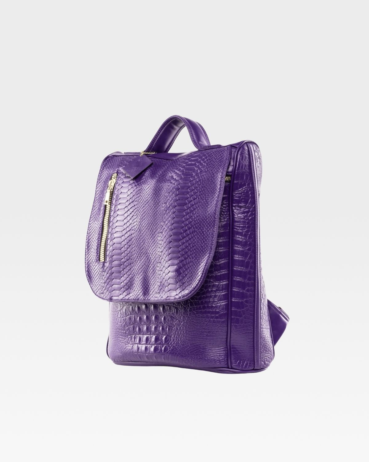 Apollo 2 Purple Backpack - Lightweight Durable School & Travel Backpack for College Students & Commuters