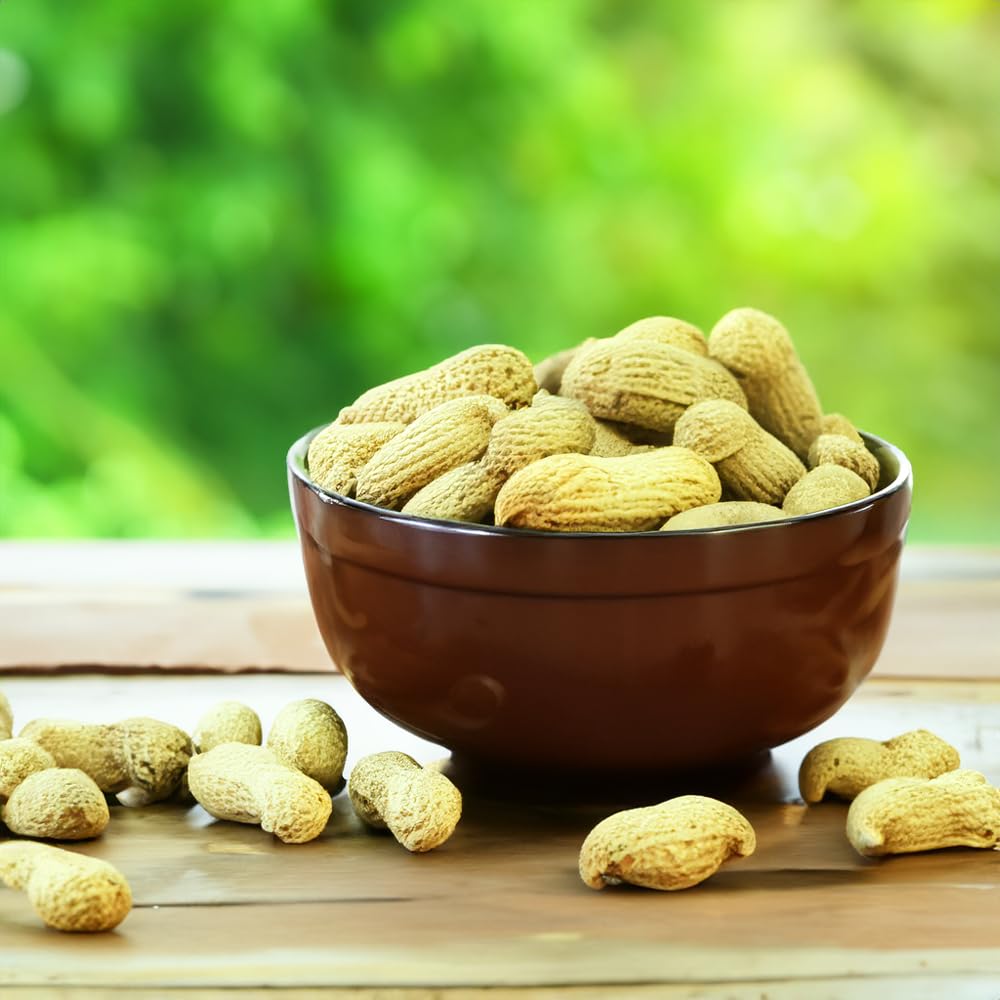 Naturalee Raw In-Shell Peanuts 2 lbs - Unsalted, All-Natural Healthy Snack for Humans, Squirrels & Wildlife - Perfect for Backyard Bird Feeding, Hiking Snacks & Protein Boost