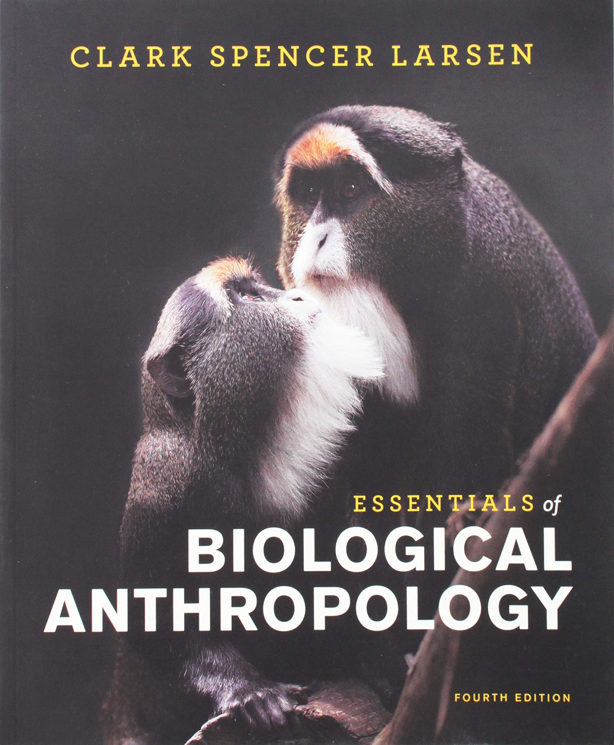 Essentials of Biological Anthropology Textbook - Human Evolution, Genetics & Primatology Study Guide | Perfect for College Students, Anthropology Courses & Science Enthusiasts