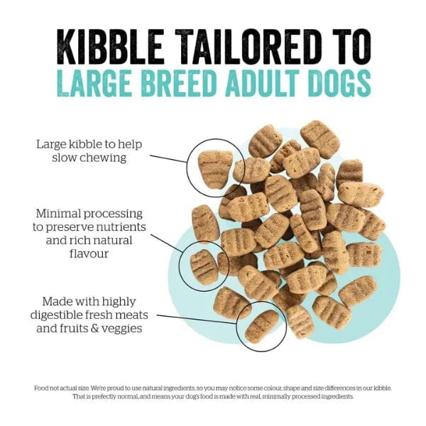 Premium Now Fresh Turkey, Salmon & Duck Recipe Large Breed Adult Dry Dog Food - 25lb Bag for Healthy Joints & Digestion | Ideal for Active Large Dogs, Senior Pets & Weight Management