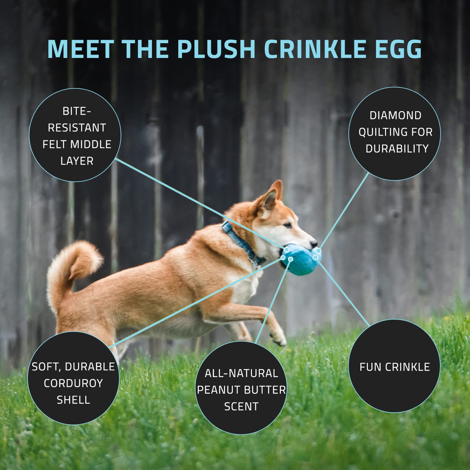 Playology Plush Crinkle Dog Toy - Medium Crinkle Egg with Peanut Butter Scent - All-Natural, Interactive & Non-Toxic Chew Toy for Dogs - Perfect for Playtime, Training & Mental Stimulation