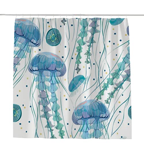 Jellyfish