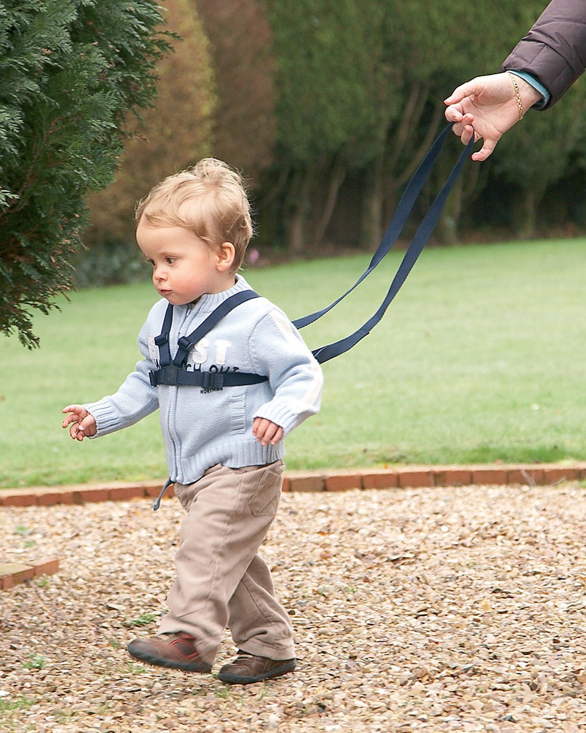 Adjustable Walking Harness and Reins for Kids - Navy Blue Safety Leash | Perfect for Toddler Outdoor Adventures, Park Walks & Parent-Child Bonding