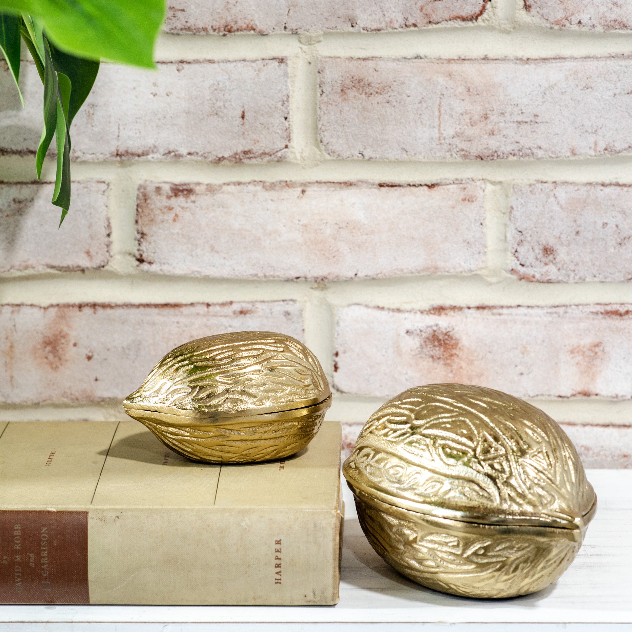 Premium Gold Walnut Decor (2 Sizes) - Elegant Home & Office Decoration for Table Centerpiece, Shelf Display, and Gift Giving