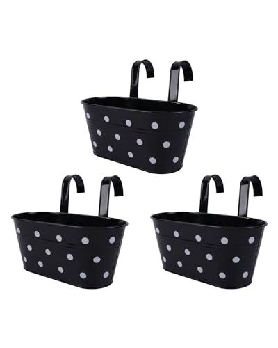 Black With Spot