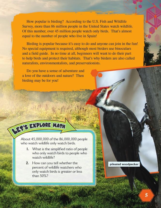 Fun and Games: The Wild World of Birding - Mastering Ratios for Real-World Math Skills | Perfect for Classroom Activities & Outdoor Learning