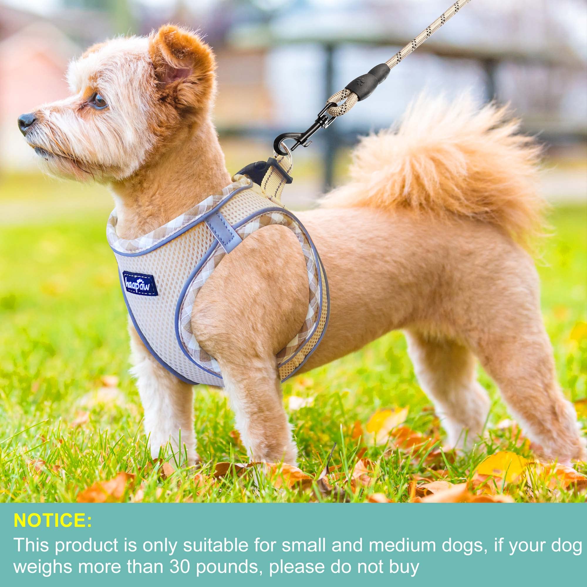 **Haapay No-Pull Adjustable Reflective Dog Harness & Leash Set – Thickened Padded Vest for XS/Small/Medium Dogs – Perfect for Walking, Training & Nighttime Safety**