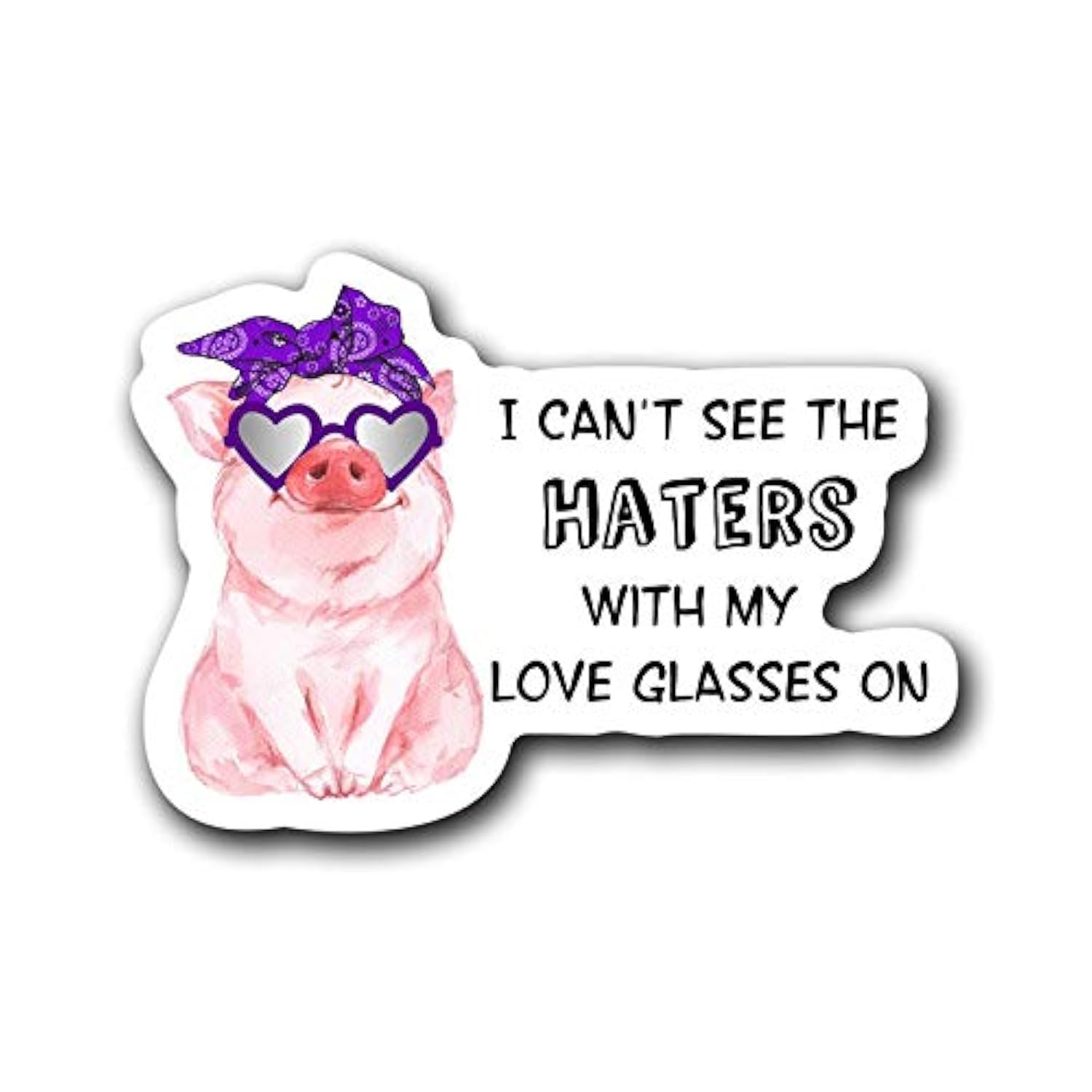 I Can't See The Haters with My Glasses On