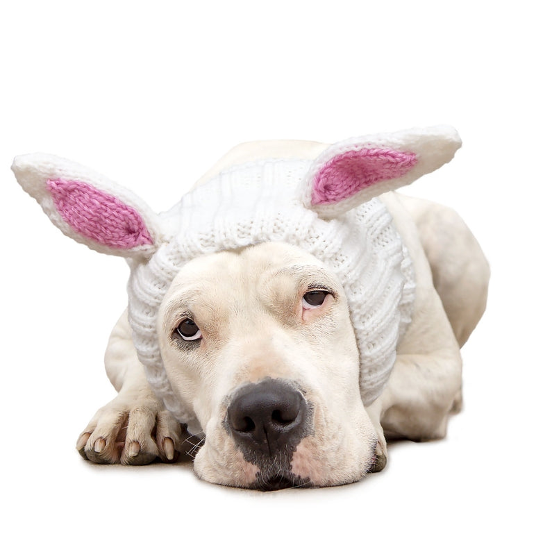 Soft Bunny Rabbit Dog Snood - Warm Pet Neck Warmer for Small & Medium Dogs - Perfect for Winter Walks & Outdoor Adventures