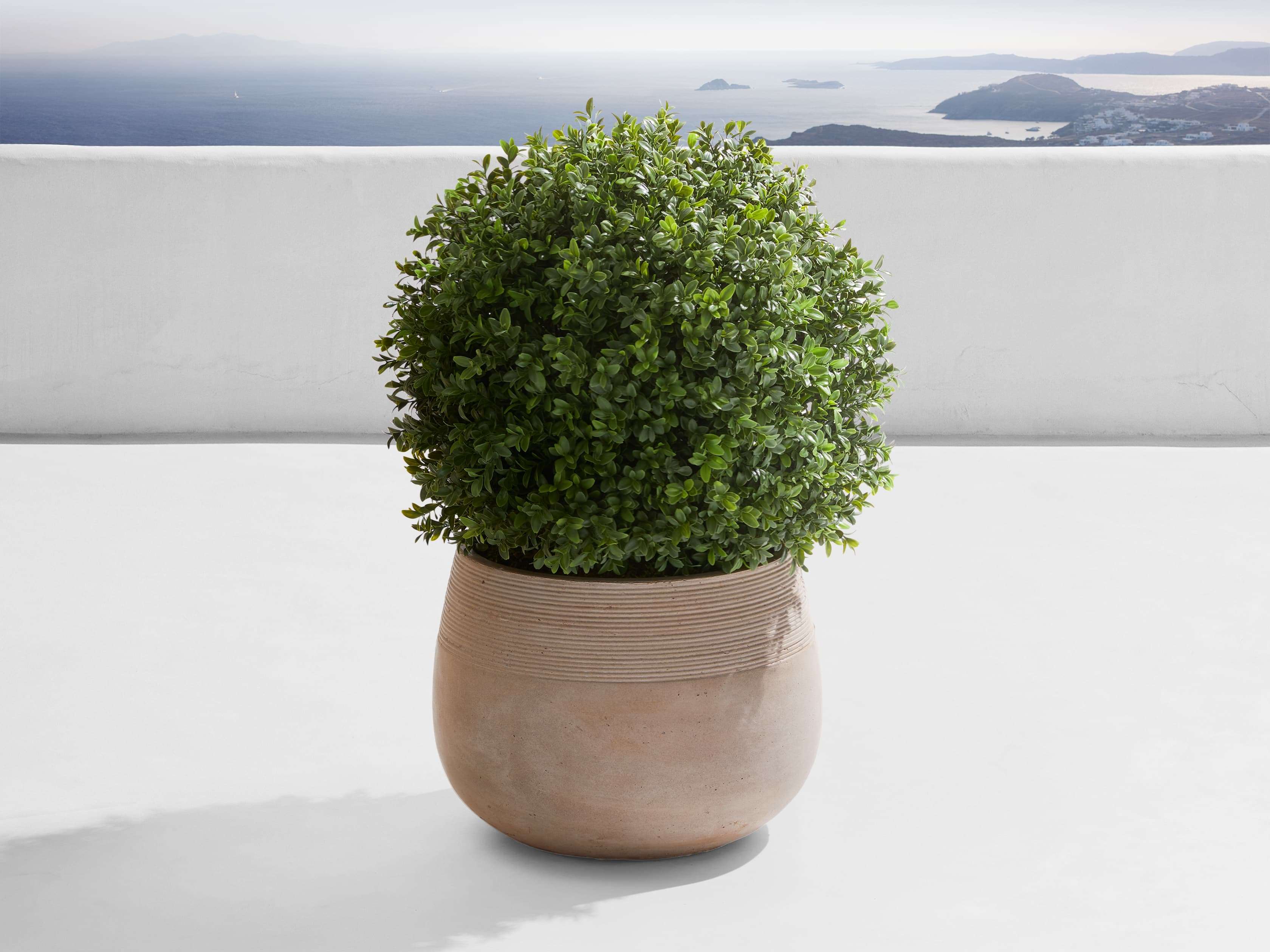 Boxwood Small Ribbed Planter - Elegant Indoor/Outdoor Decorative Flower Pot for Home Garden, Office, Balcony & Patio Decor