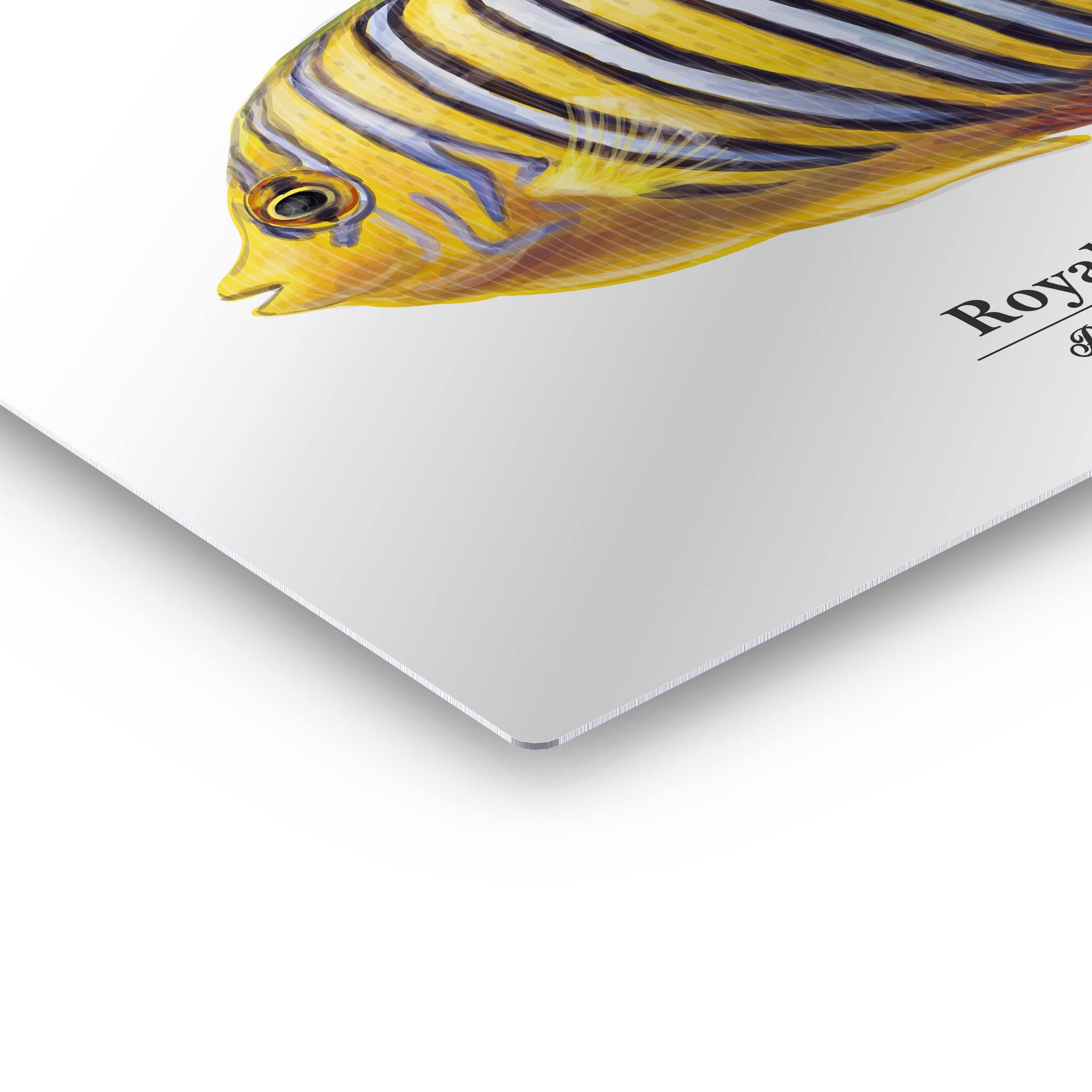 Royal Angelfish Metal Wall Art - 16x24 Inch Marine Animal Painting, Pygoplites Diacanthus Fish Print for Coastal & Nautical Decor - Perfect for Living Room, Bedroom, Kids Room & Office - Handmade in USA | Ocean-Themed Home & Fishing Gift Idea