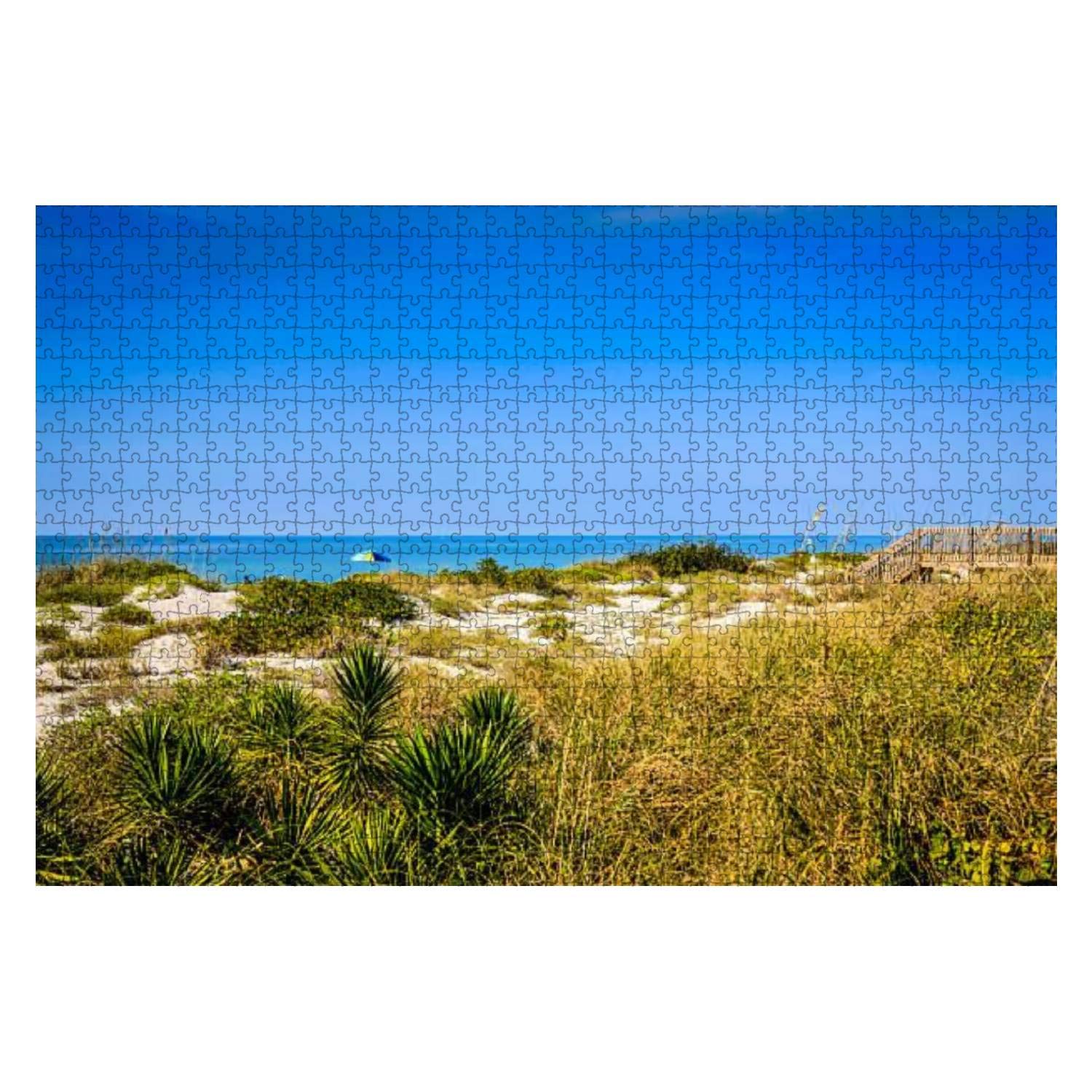 1000 Piece Wooden Jigsaw Puzzle - The Sand Dunes Behind Venice Beach Florida | Educational Puzzle for Adults & Kids | Stress Relief Game | Home Decor & Family Game Night Activity