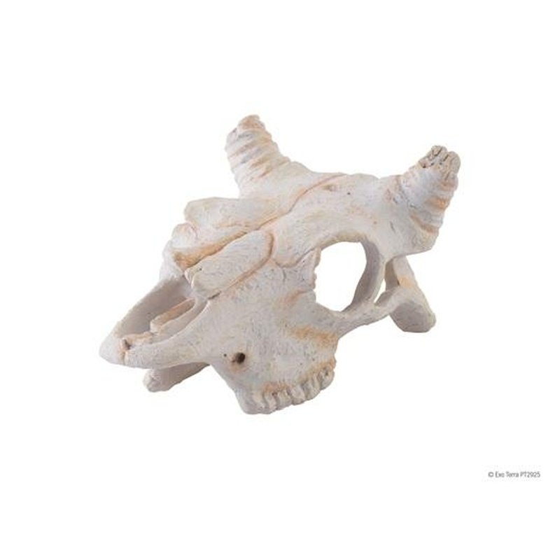 Exo Terra Small Buffalo Skull Reptile Hideout - Natural Decor for Terrariums & Reptile Habitats