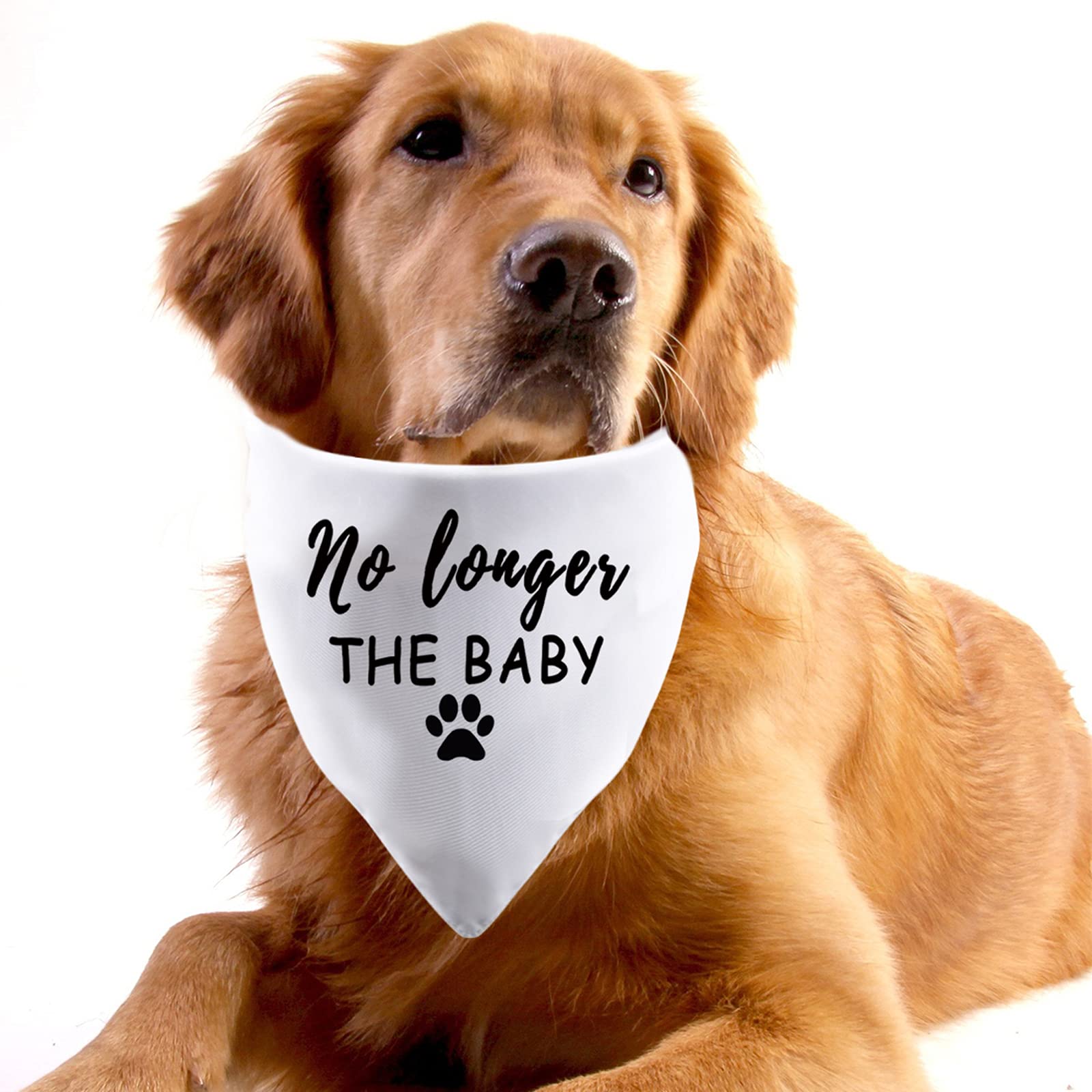 2023 Pregnancy Dog Bandana - No Longer The Baby Announcement - Perfect New Mom & Dad Gift (White) - Ideal for Pet Photo Shoots & Gender Reveals