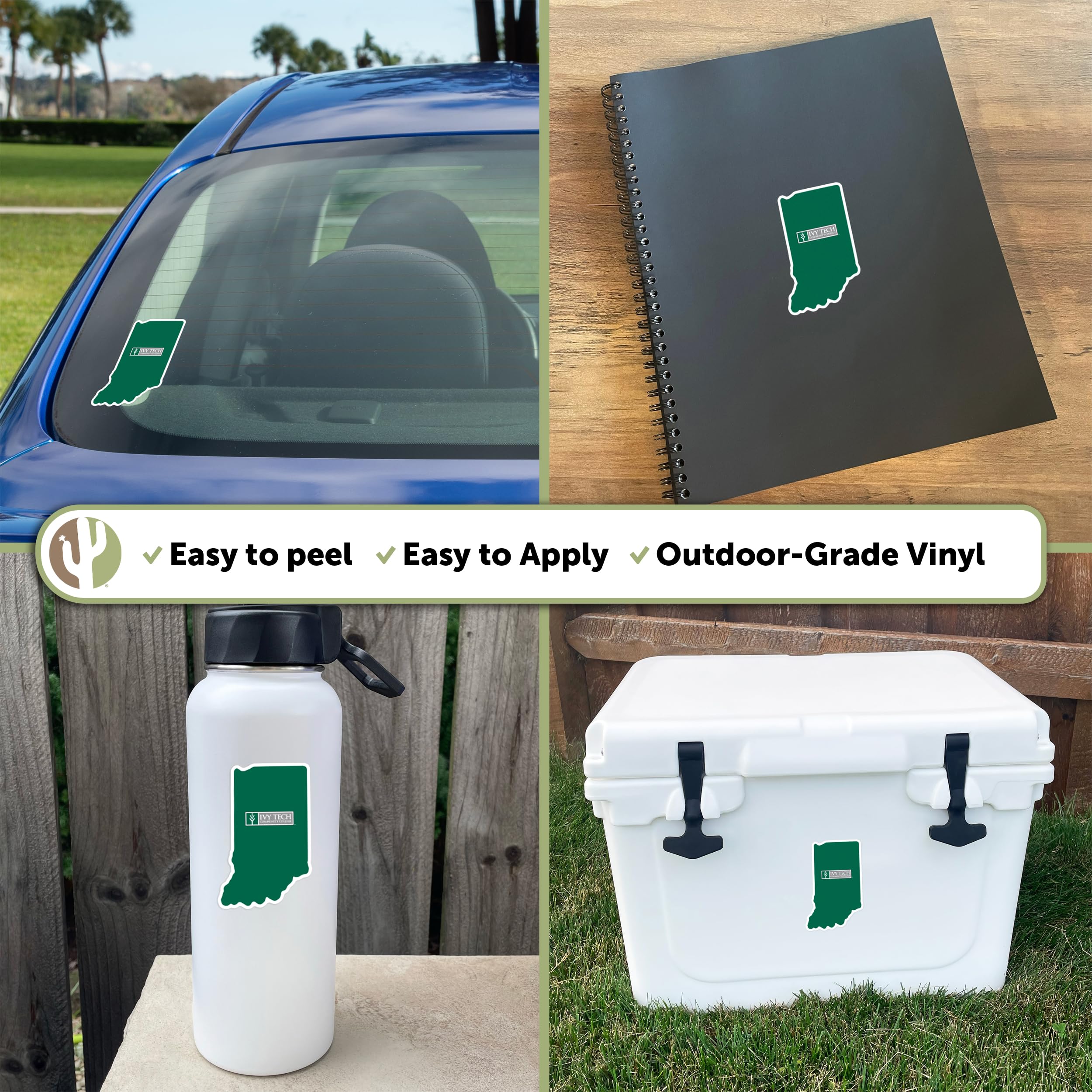 Desert Cactus & Eagles Vinyl Decal Sticker - Indiana State Border Design for Laptop, Water Bottle, Car & Scrapbook | Perfect for College Students, Travel Enthusiasts & DIY Crafts