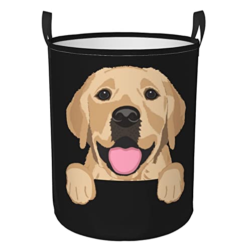 Retriever Dog-2