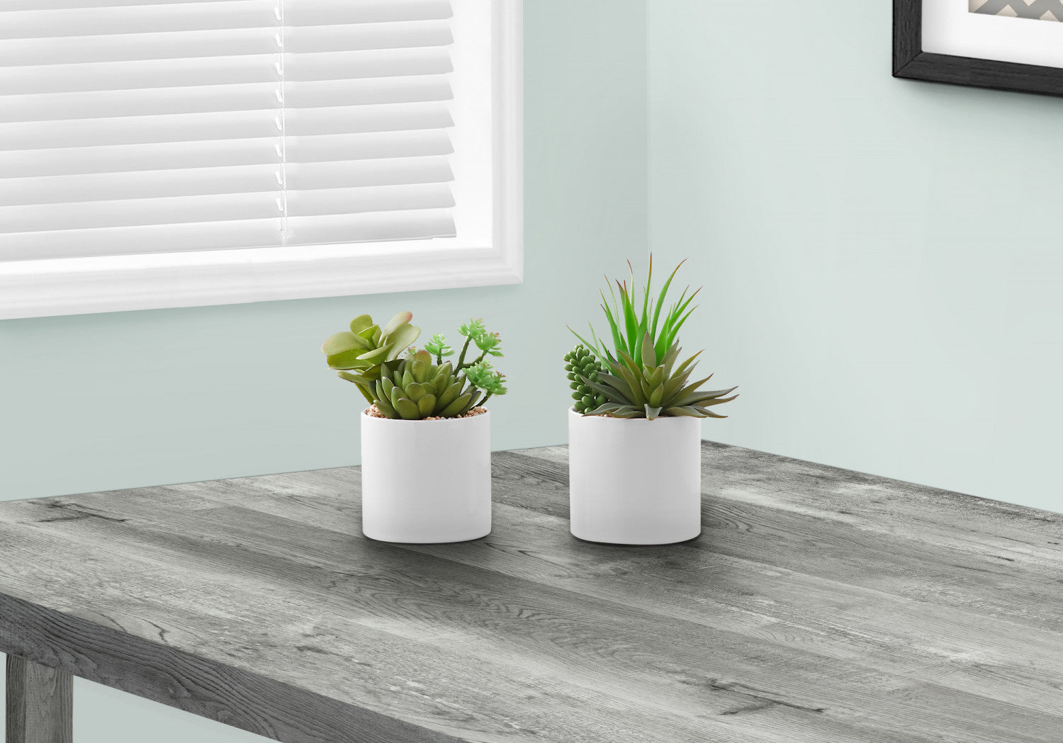 7 Succulent Plants with 3 White Pots - Green Indoor Garden Set of 2 | Perfect for Home Decor, Office Desk & Gift Giving