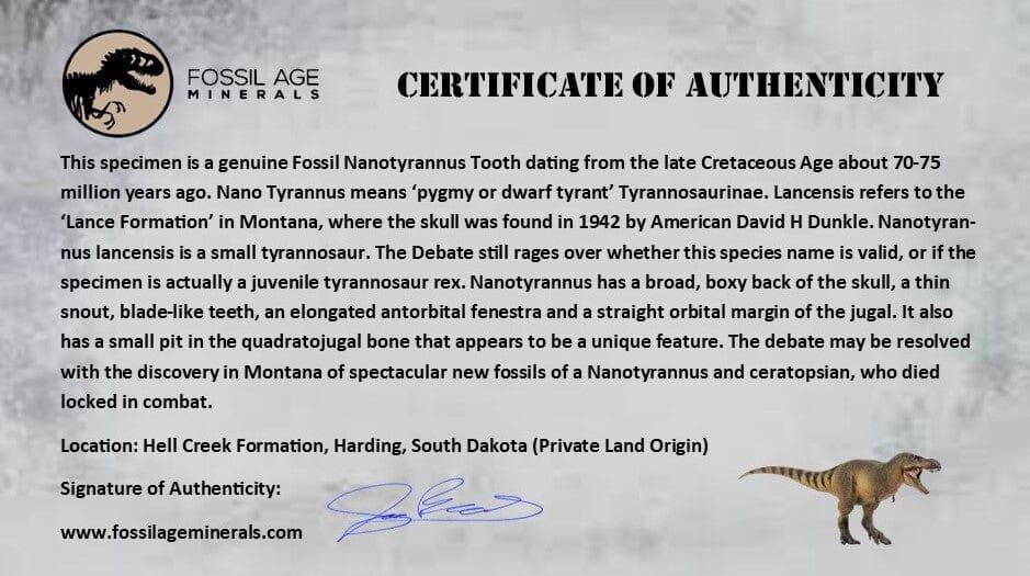 Authentic 0.7