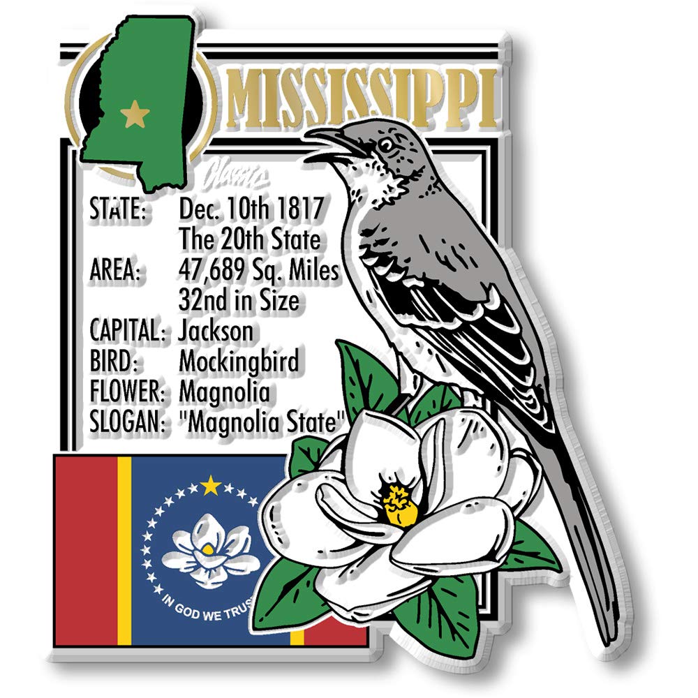 Classic Magnets USA State Souvenir Set - 51-Piece Collectible U.S. State Magnet Collection for Refrigerators, Office Decor & Travel Memories | Made in America