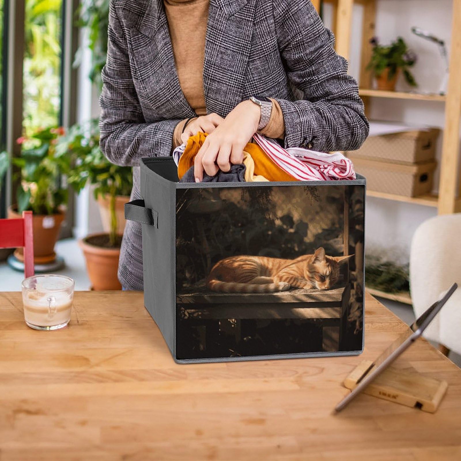 6PCS Collapsible Storage Bins with Handles - Orange Cat Sleeping Pattern Multi-Purpose Organizer Boxes for Shelves, Closet, Bathroom & Home Organization | Space-Saving Foldable Storage Baskets for Bedroom, Office & Kids' Room
