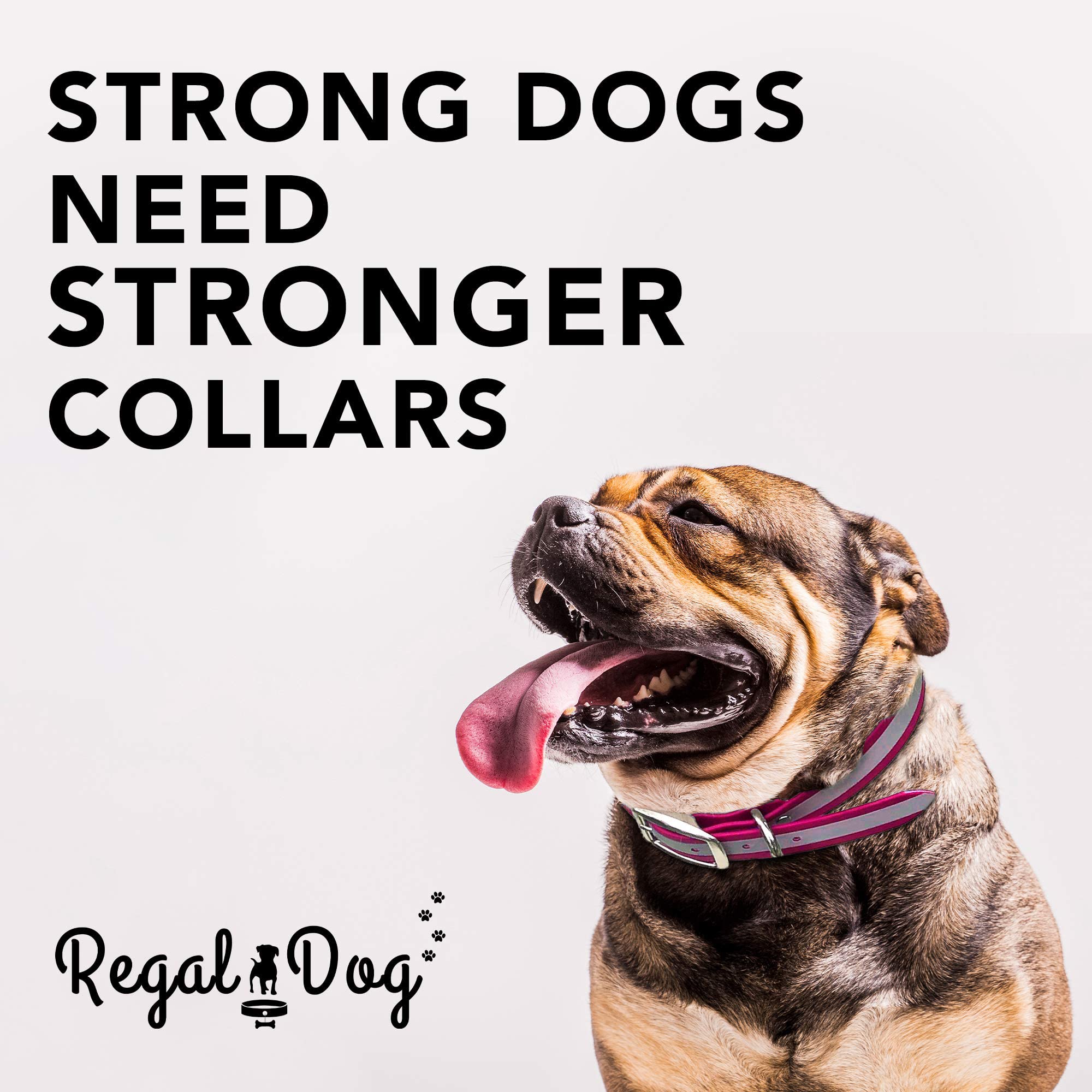 Regal Heavy Duty Reflective Dog Collar - Adjustable Chew Proof & Waterproof Pet Collar with Metal Buckle & D-Ring for Small, Medium & Large Dogs - Perfect for Night Walks, Training & Outdoor Adventures
