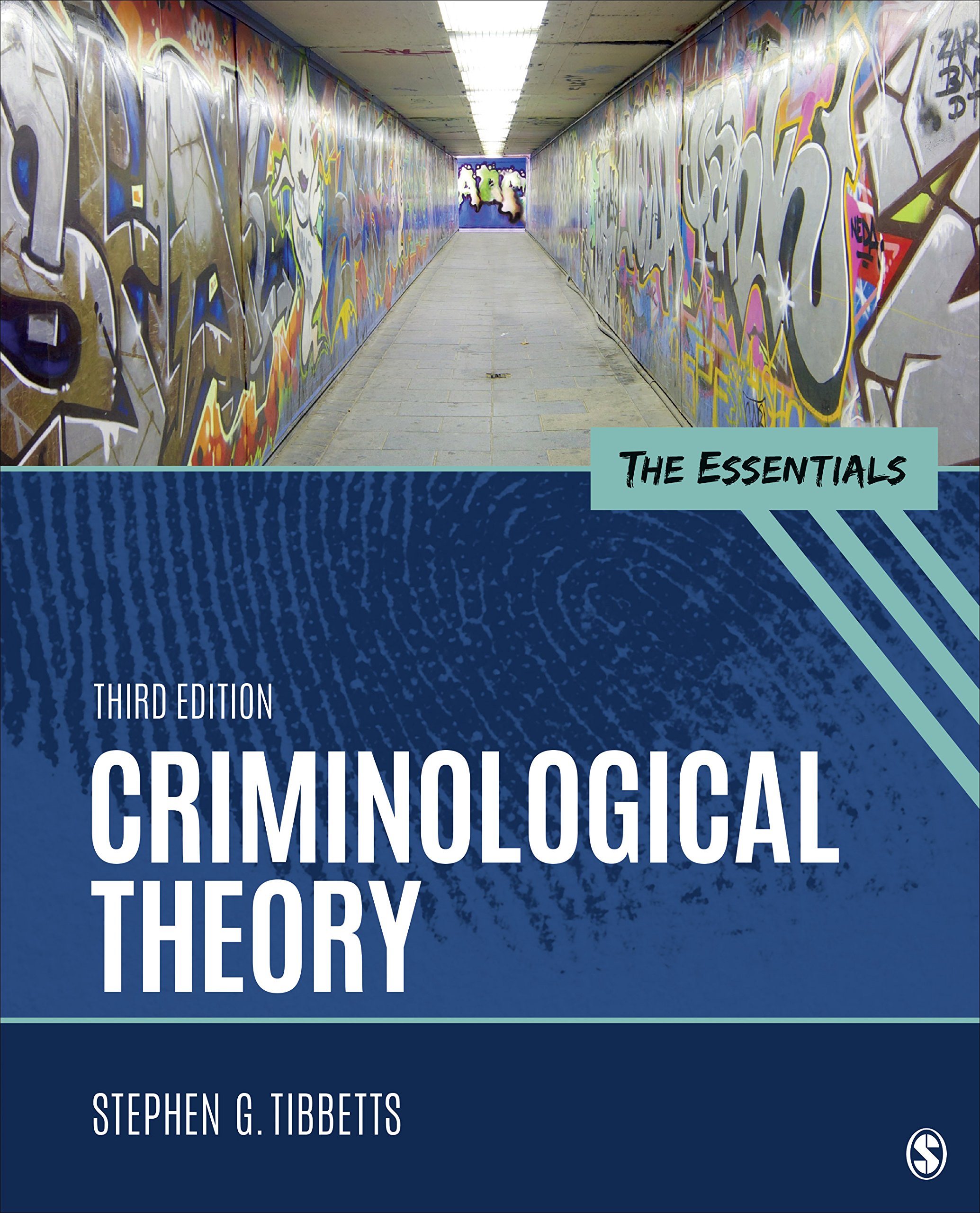 Criminological Theory: The Essentials - Understanding Crime Patterns & Prevention Strategies for Students & Professionals