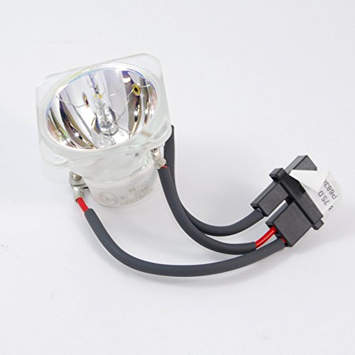 Original Samsung SP-L255 DLP Projector Replacement Bulb - High Brightness Lamp for Home Theater, Office Presentations & Classroom Projectors