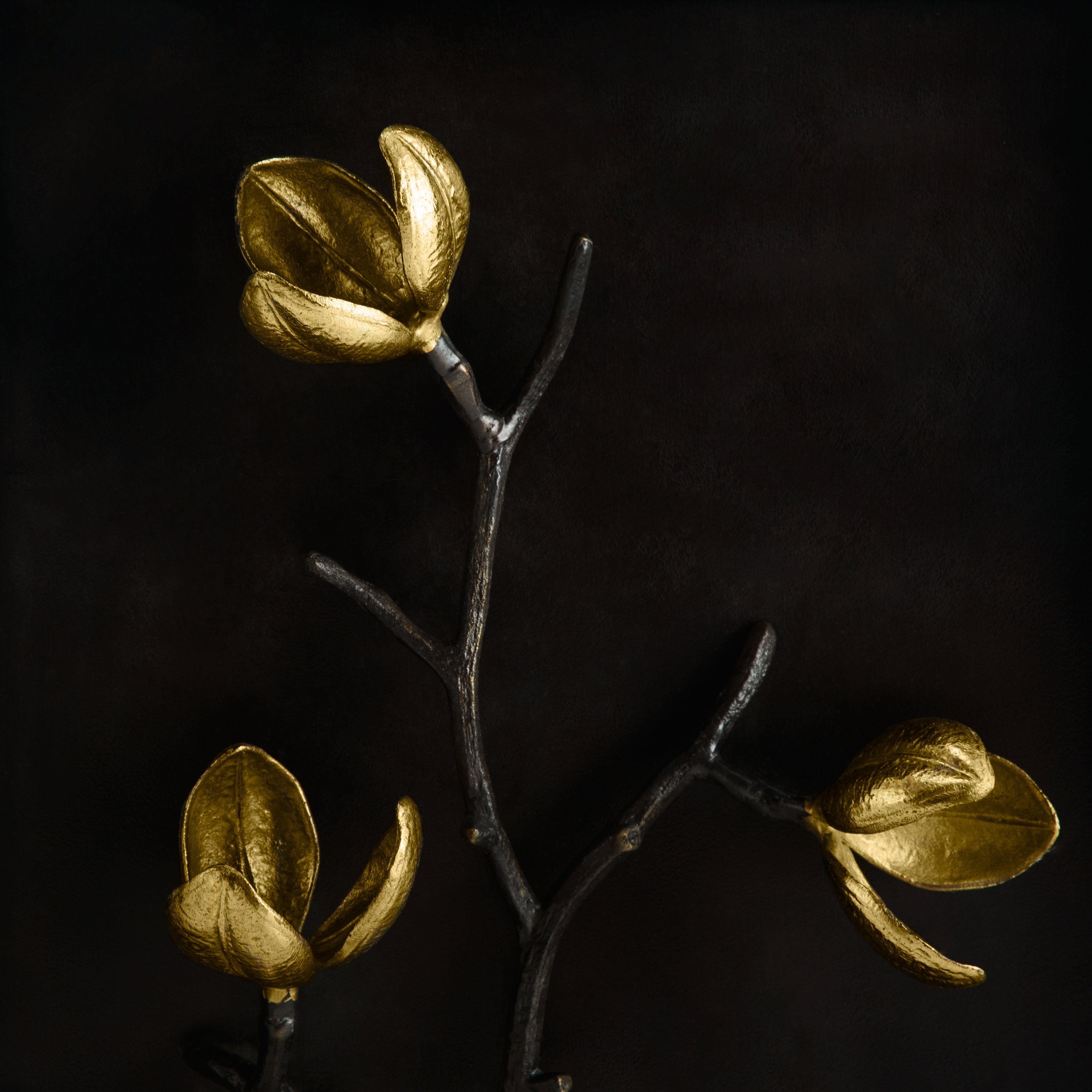 Wild Pod Shadow Box - Premium Handmade Nature Display for Home Decor | Perfect for Wall Art, Shelf Decor, and Nature Lovers
