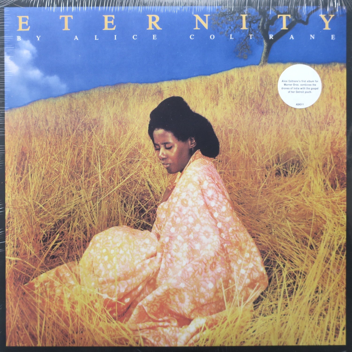 ALICE COLTRANE 'Eternity' Vinyl LP Record - Spiritual Jazz Music for Meditation & Yoga Sessions
