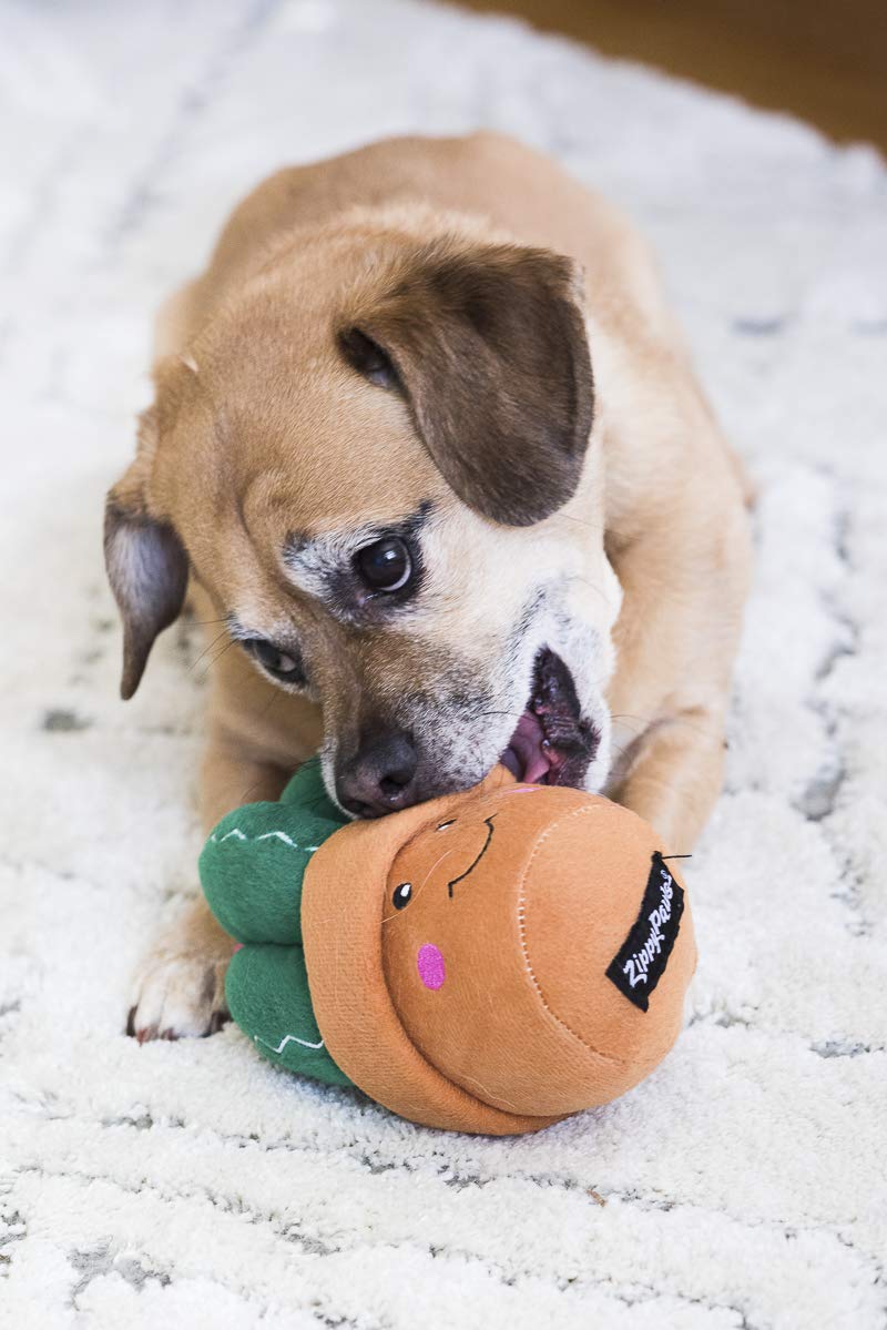 Best Interactive Dog Toys for Small & Large Breeds - Chew Proof, Durable & Safe for Puppies & Adult Dogs - Perfect for Indoor & Outdoor Playtime, Training & Bonding