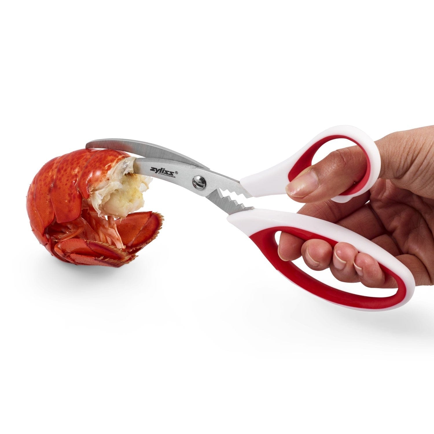Zyliss Premium Seafood Scissors - Heavy Duty Kitchen Shears for Crab, Lobster & Shellfish - Ergonomic Non-Slip Grip - Dishwasher Safe - Perfect for Seafood Lovers & Home Chefs