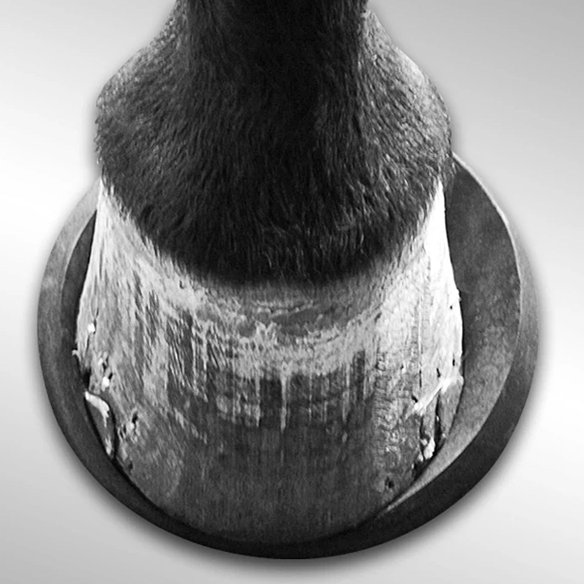 EquiFit HoofSavers - Premium Horse Hoof Boots for Protection & Comfort | Ideal for Trail Riding, Training & Injury Recovery