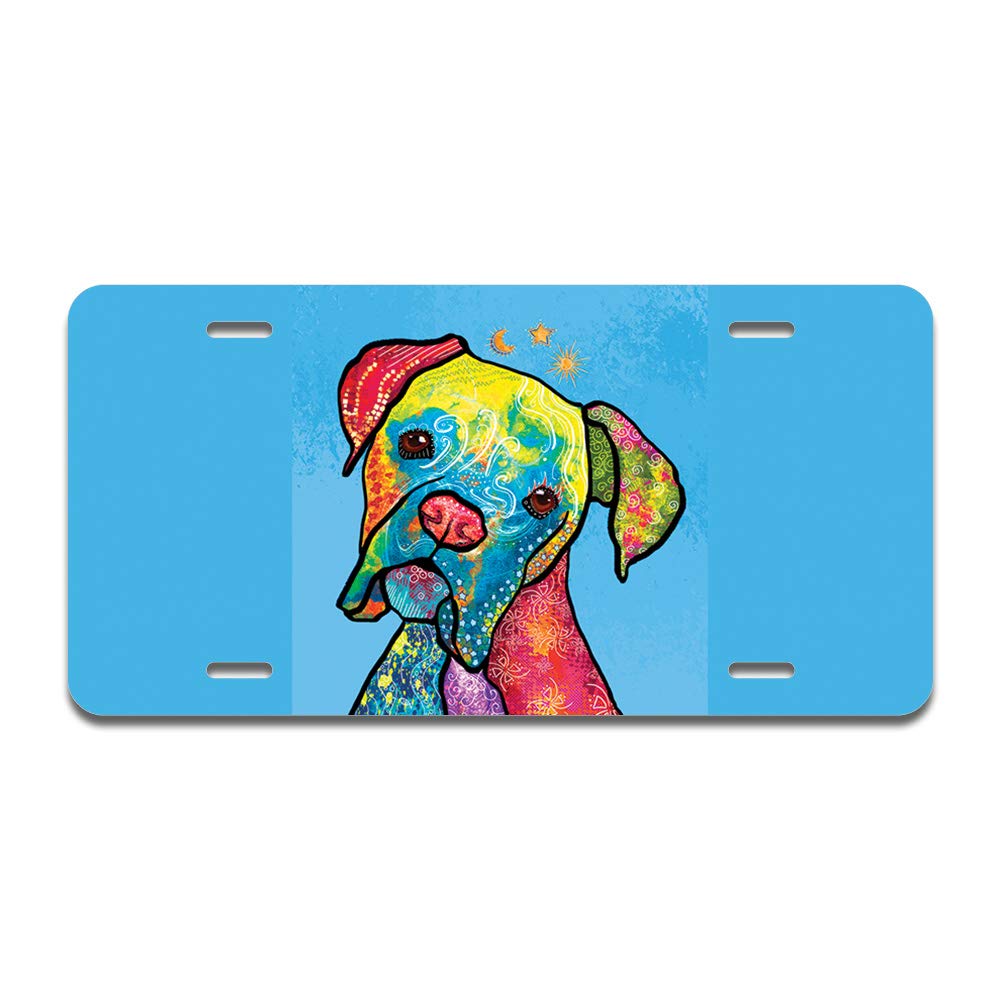 SignMission Rainbow Aluminum License Plate - 12