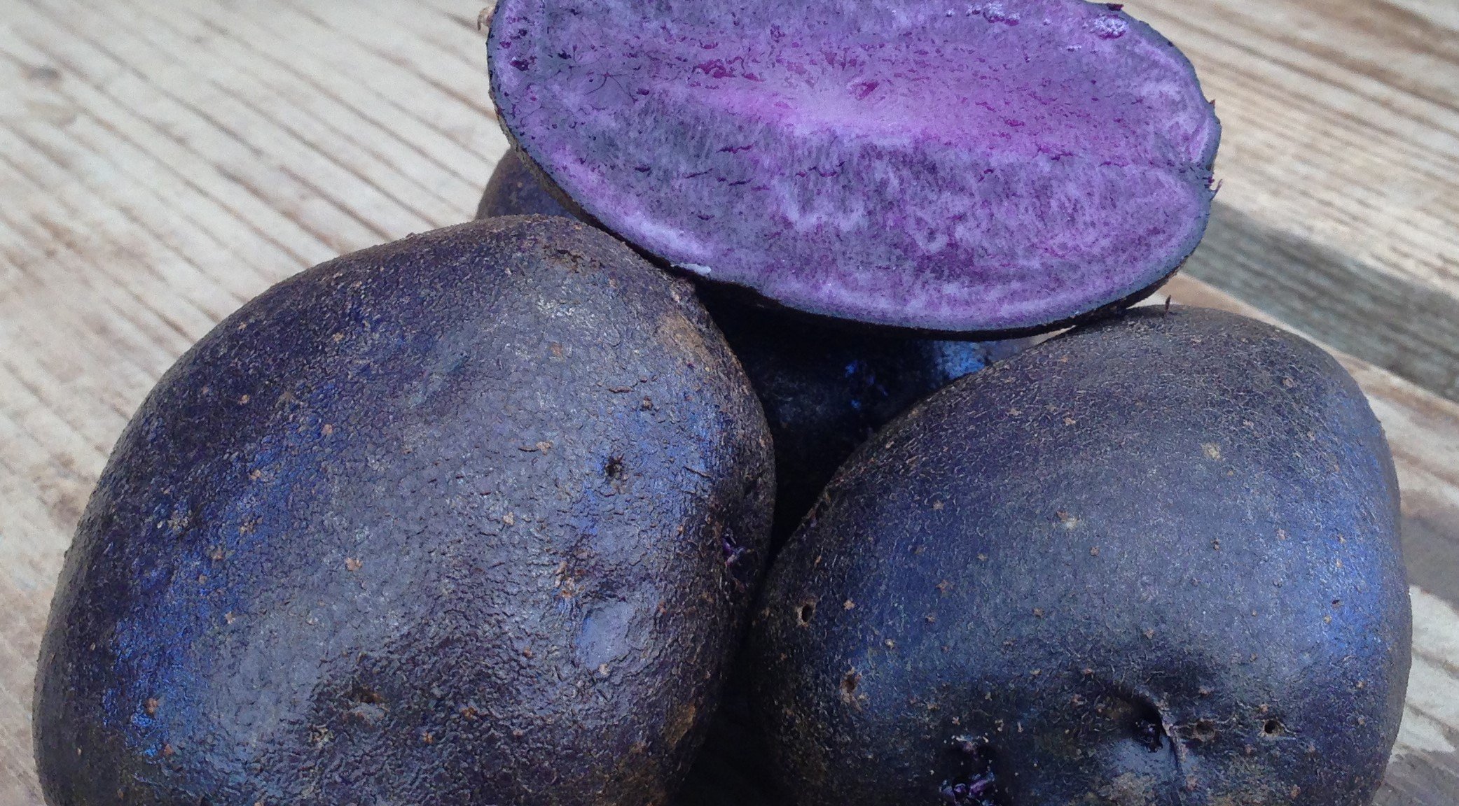 5 Lbs Purple Majesty Seed Potatoes - Non-GMO Certified USA Grown Potato Tubers for Planting - Perfect for Home Gardens, Organic Farming & Healthy Cooking