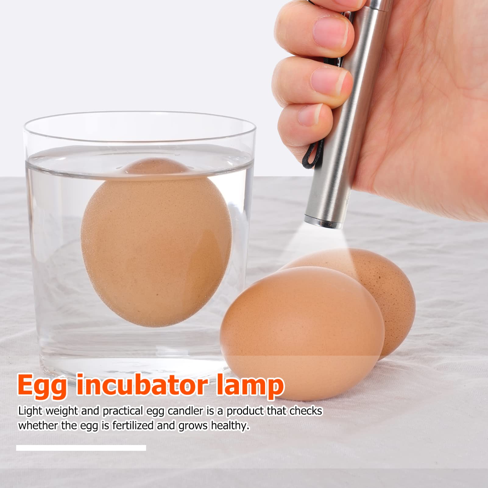 Balacoo LED Egg Candler - Mini Egg Incubator Flashlight for Poultry Farming, Chick Hatching & Egg Testing | Portable Egg Candling Lamp for Chicken Duck Goose Eggs | Perfect for Home Farms, Classroom Science Projects & Veterinary Use