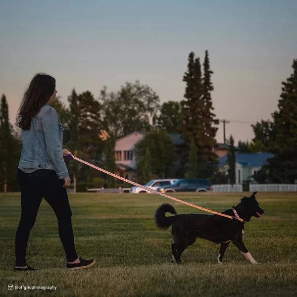 Lazer Brite Reflective Open Design Dog Leash - High Visibility Safety Leash for Night Walking, Jogging & Outdoor Adventures