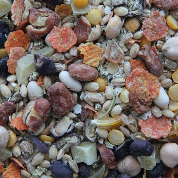 Premium Higgins Worldly Cuisines Inca Bean Salad - Nutritious Bird Food Appetizer for Parrots & Small Birds | Perfect for Treats, Training & Foraging Enrichment