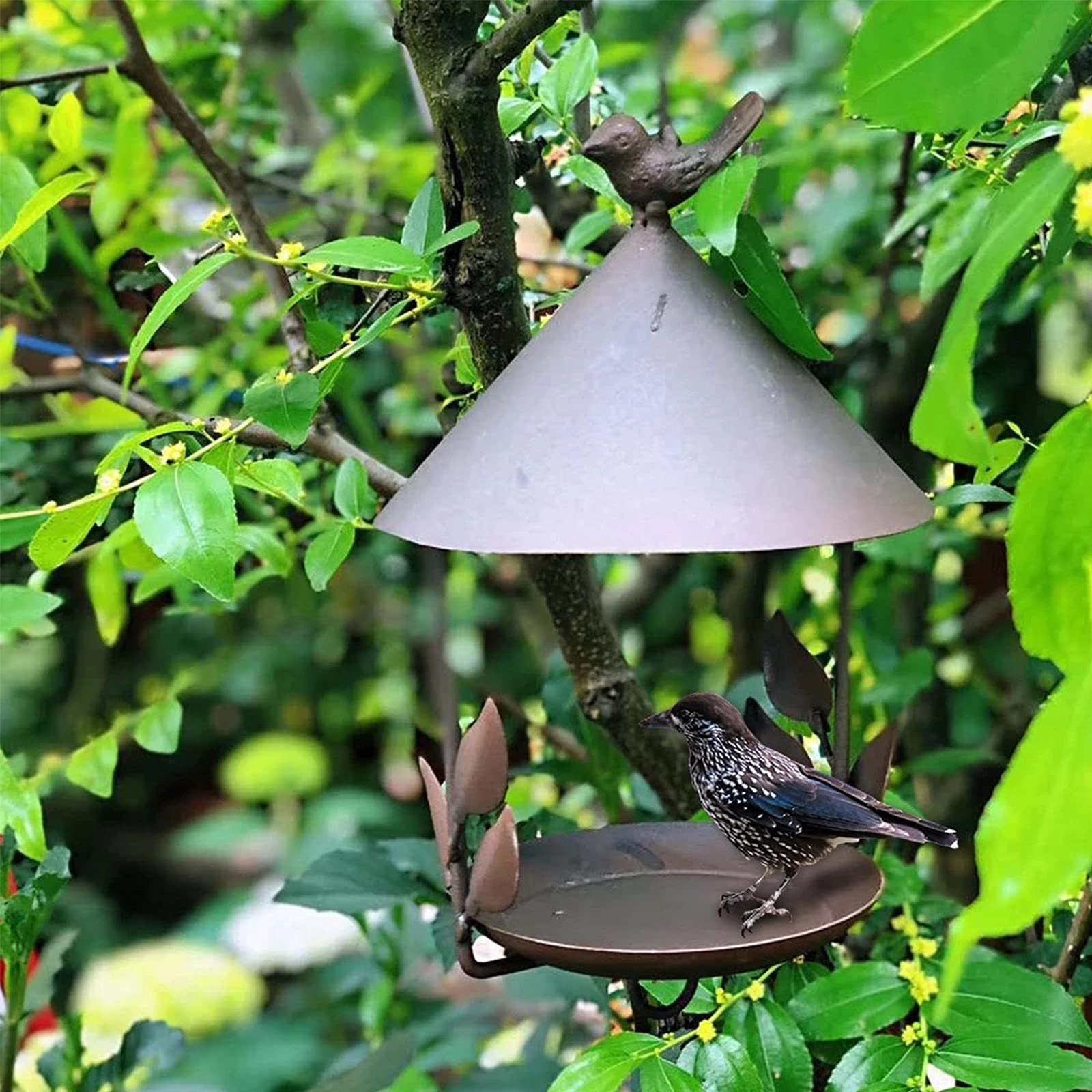 Ampopt Decorative Hanging Wild Bird Feeder Tray - Outdoor Bird Feeding Platform for Garden, Patio, Lawn & Backyard - Attracts Wild Birds to Your Outdoor Space