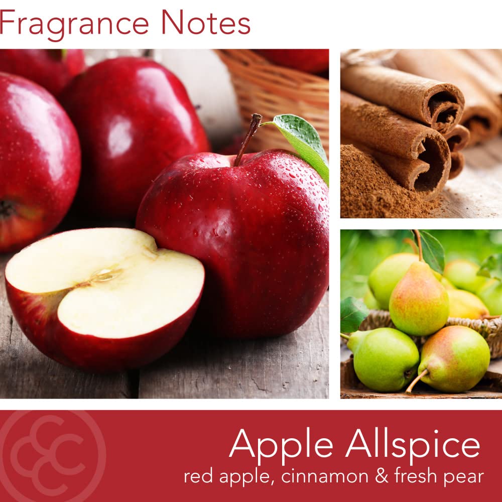 Colonial Candle Apple Allspice Scented Jar Candle - Classic Cylinders Collection, 2-Wick, 19oz Red Candle (120 Hours Burn Time) - Perfect for Home Decor, Relaxation & Holiday Gifts