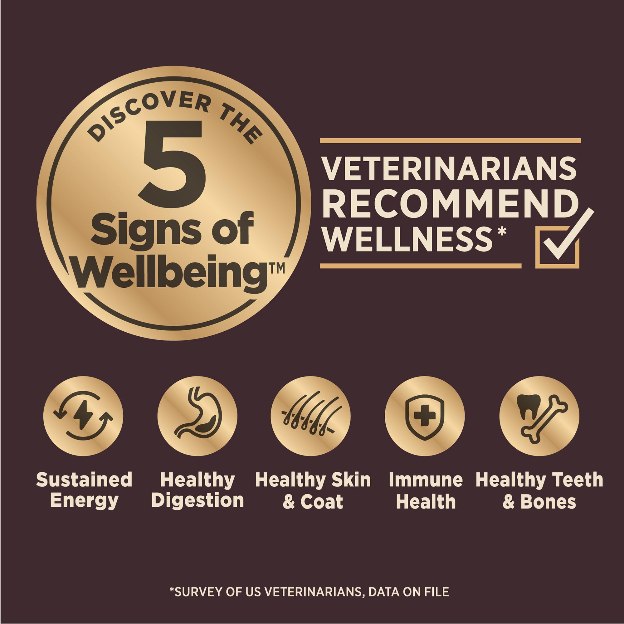 Wellness CORE Digestive Health Puppy Dry Dog Food - Natural Chicken Recipe with Wholesome Grains for Sensitive Stomachs | High Quality Ingredients for Healthy Digestion | Perfect for Growing Puppies & Dogs with Food Allergies (24lb Bag)