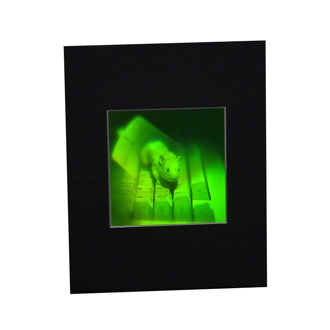 3D Holographic Mouse Multi-Channel Collectible Photopolymer Film - Perfect for Home Decor, Office Display & Gift Giving