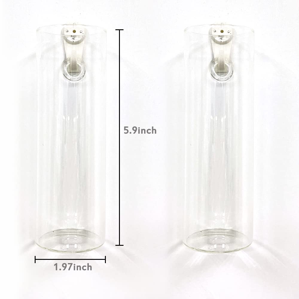 Glass Wall Planters for Indoor Plants - 2 Pack Hanging Terrarium Planters with Wall Mount, Perfect for Floral Arrangements, Succulents, and Air Plants - Ideal for Home, Office, and Garden Decor