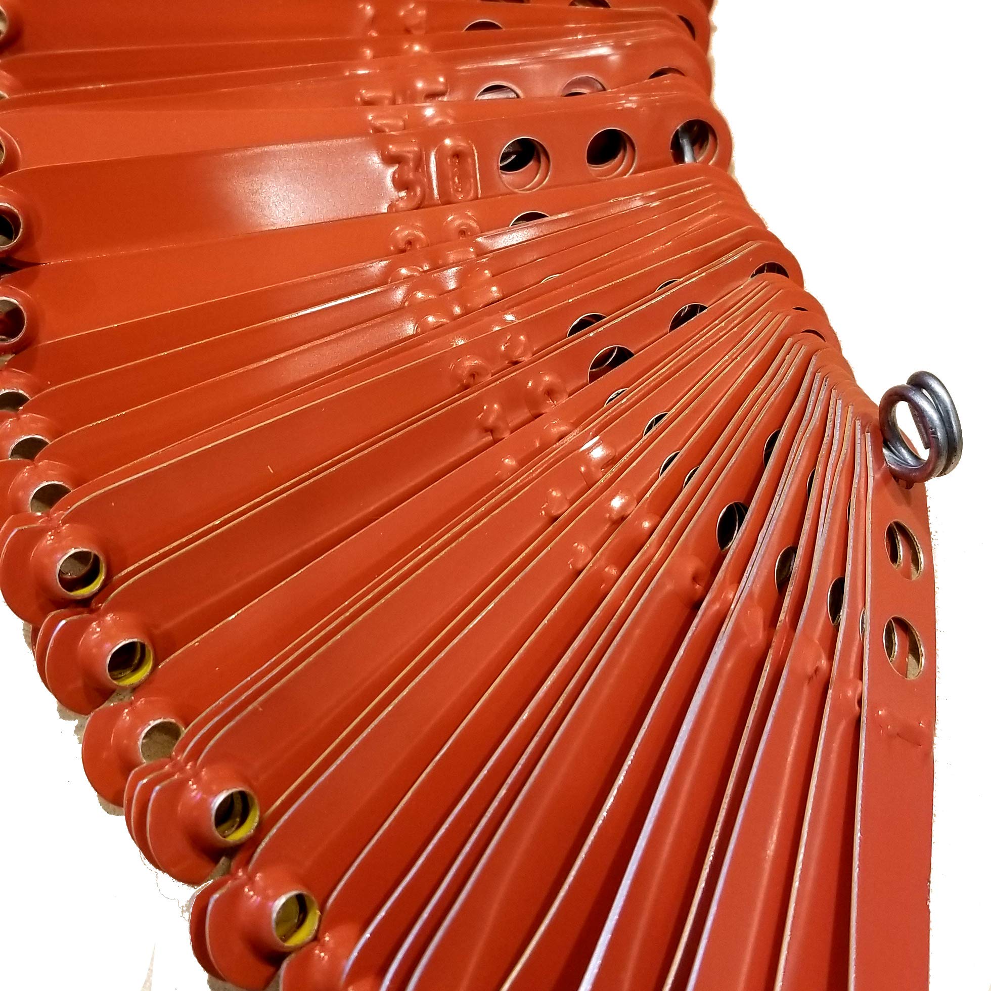 Custom Stamped Aluminum Poultry Leg Bands for Chickens, Ducks, Pheasants & Peacocks - 900 Orange Identification Rings | Farm, Hatchery & Aviary Use