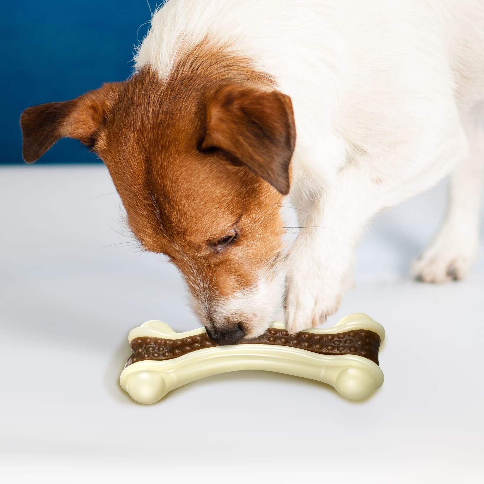 **Sosation 6-Pack Durable Nylon Dog Chew Toys for Aggressive Chewers - Beef Flavor Puppy Teething Bones for Small, Medium & Large Breed Dogs - Tough & Safe Chew Toys for Puppies & Adult Dogs - Perfect for Teething, Boredom Relief & Dental Health**
